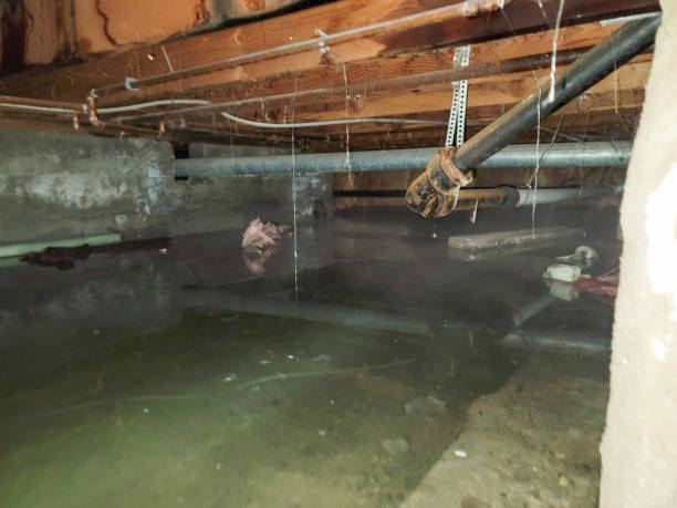  Indian Lake, TX Water damage restoration Pros