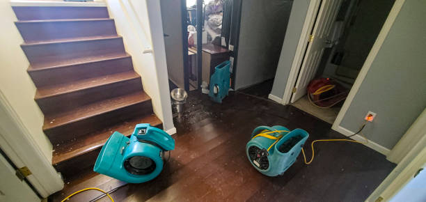 Best Commercial water damage restoration  in Indian Lake, TX