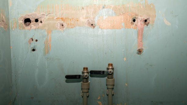 Best Professional water damage repair  in Indian Lake, TX