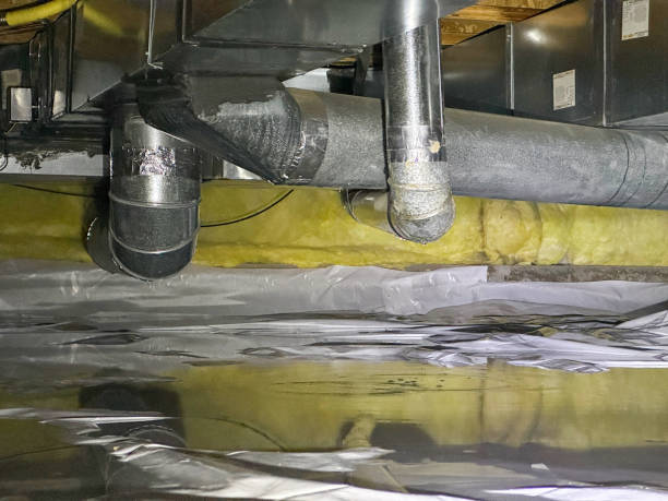 Best Mold removal after water damage  in Indian Lake, TX